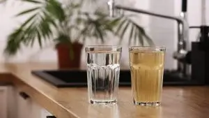 water filter remove chlorine lead rust bacteria